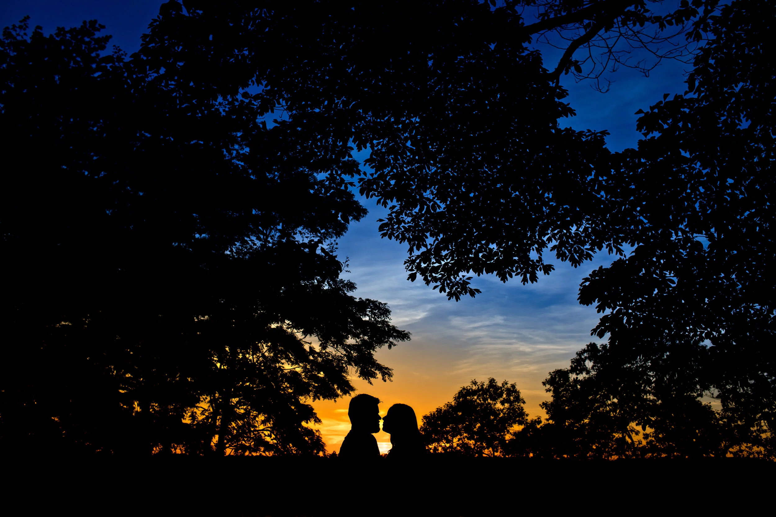 Elizabeth & Alex - 87.jpg