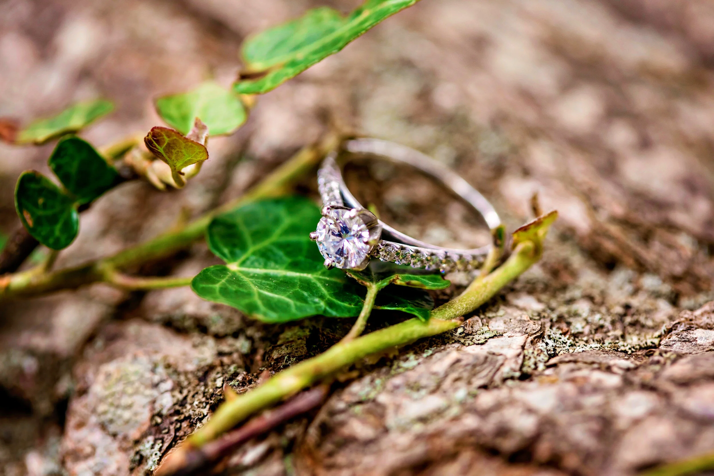 Jessica & David-67.jpg