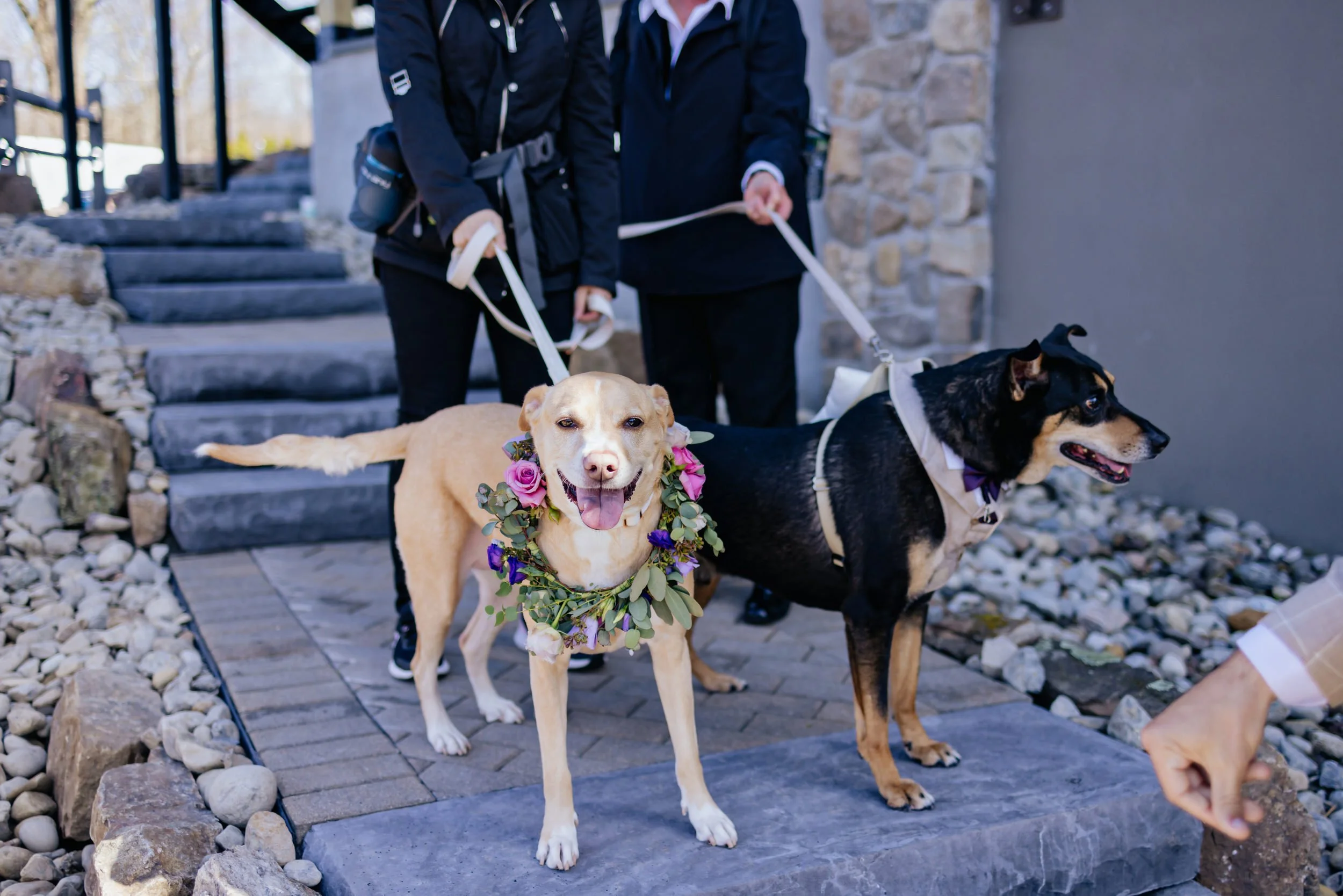 Kay&Chris-432.jpg