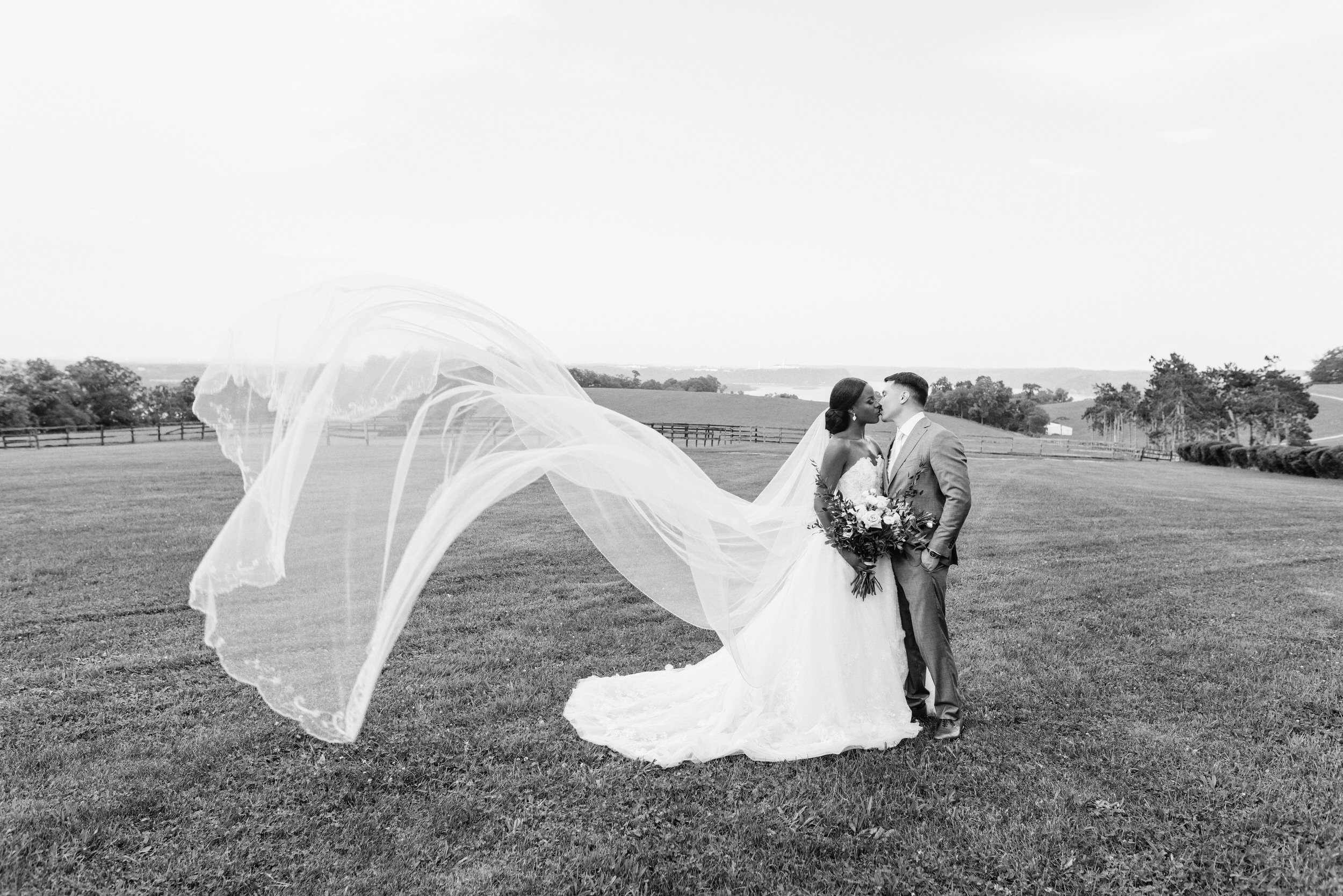 Wedding-Lauxmont Farms-Wrightville Pennsylvania Pictures-1253grey.jpg