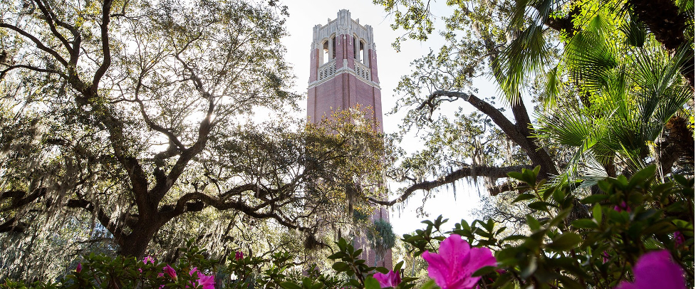 UF closes in on Top 5 Public University goal in recent U.S. News &amp; World Report rankings 