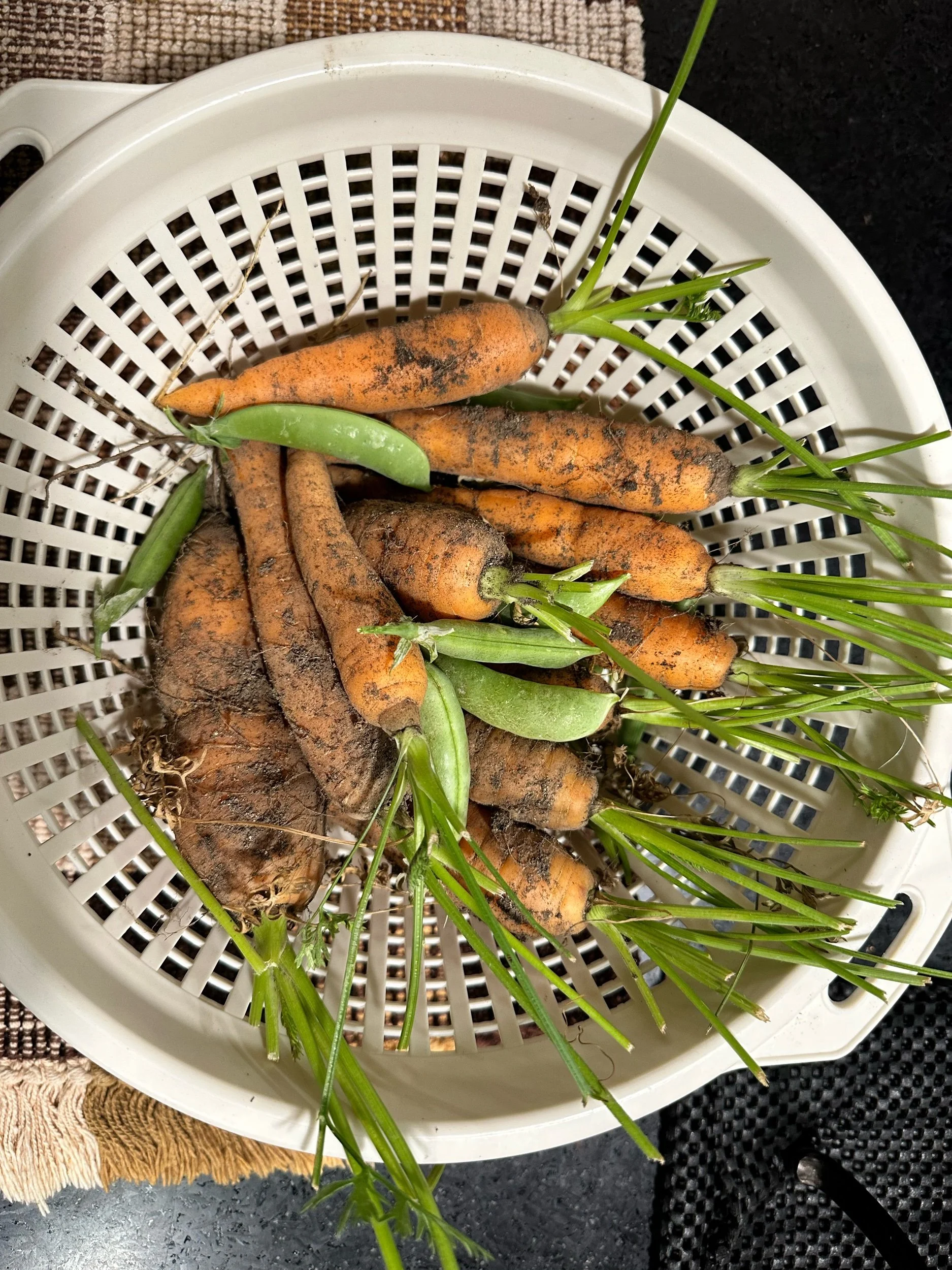 Preparing for 2022 Sabbatical