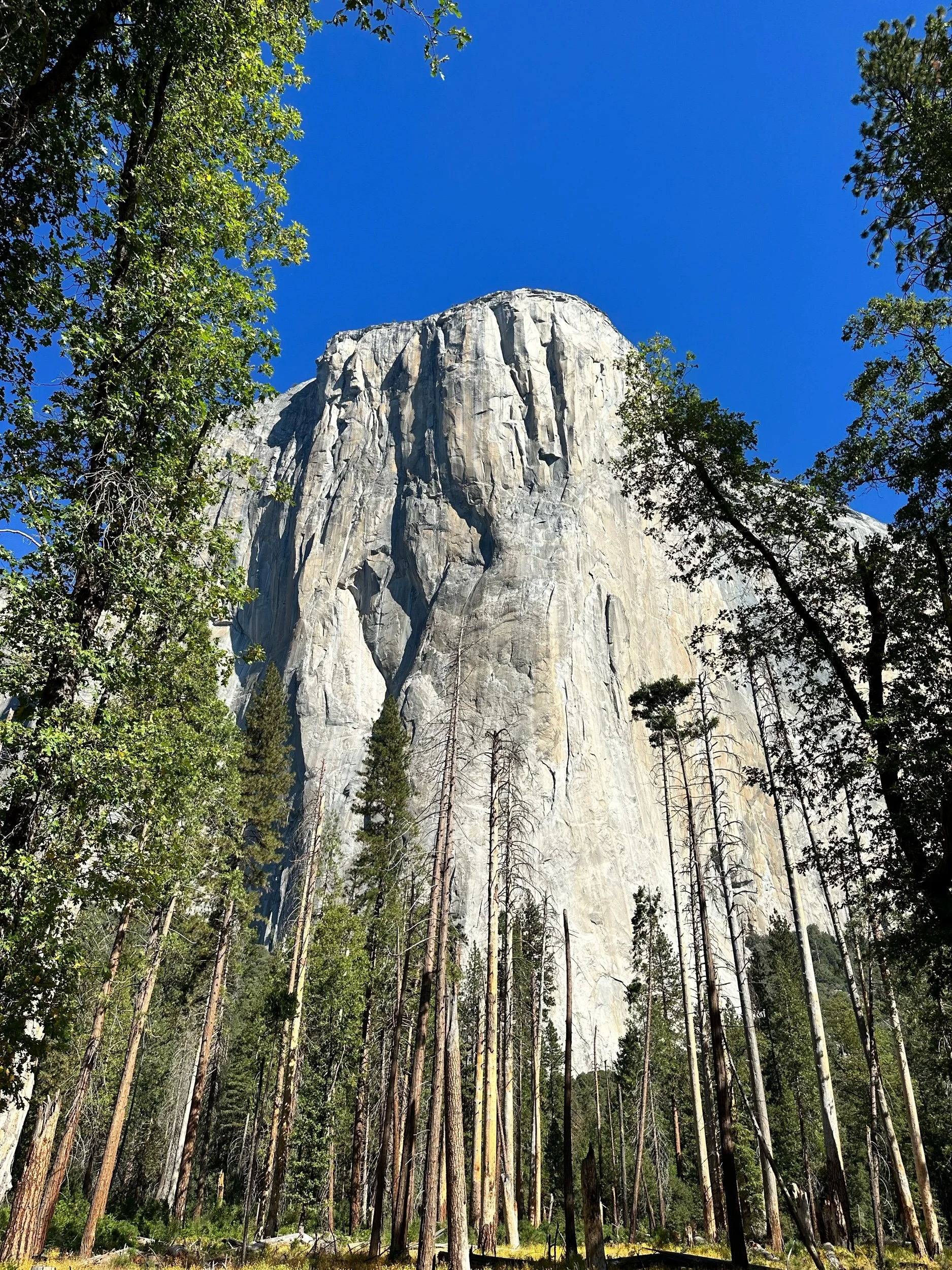 Yosemite