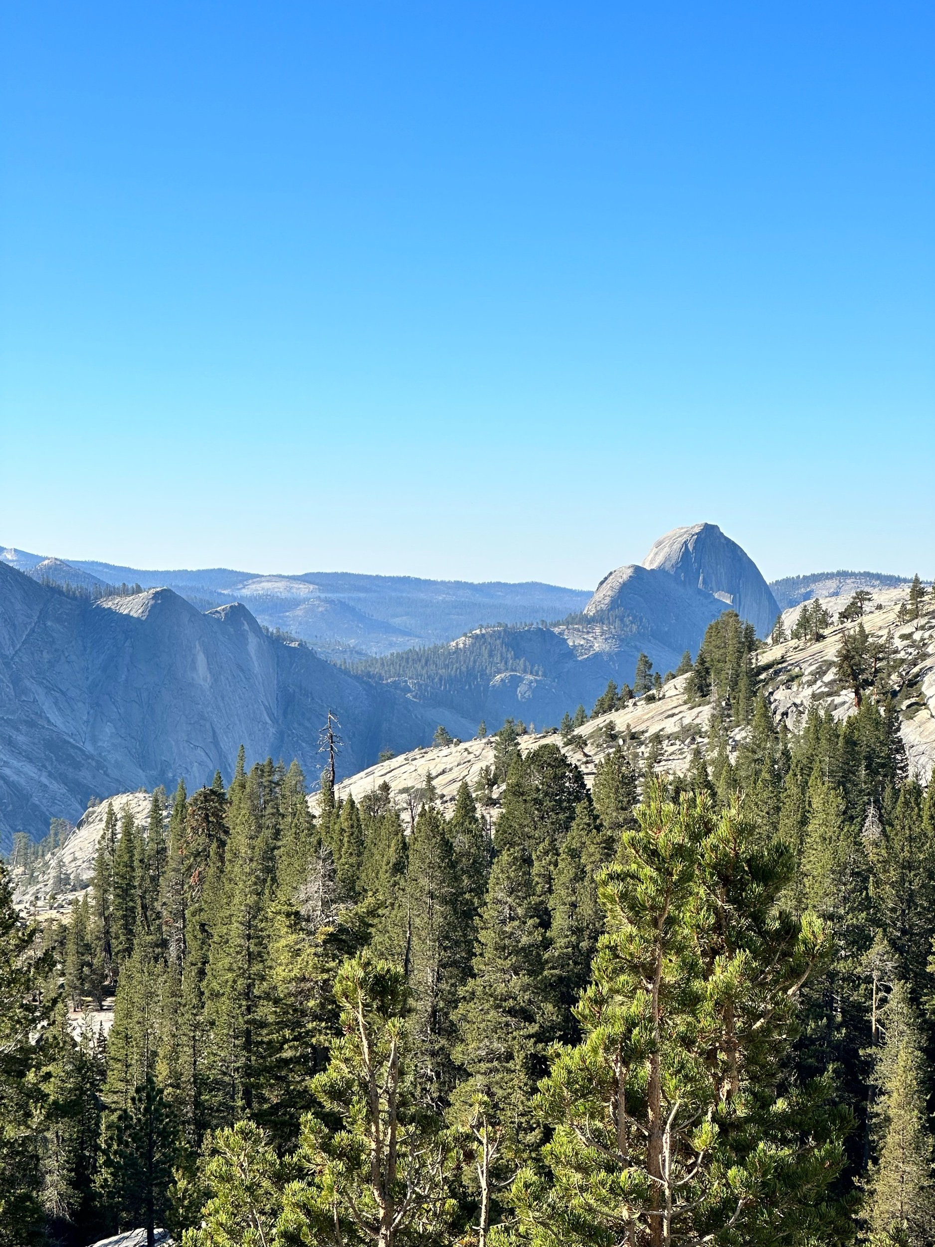 From Northern Yosemite to Bishop