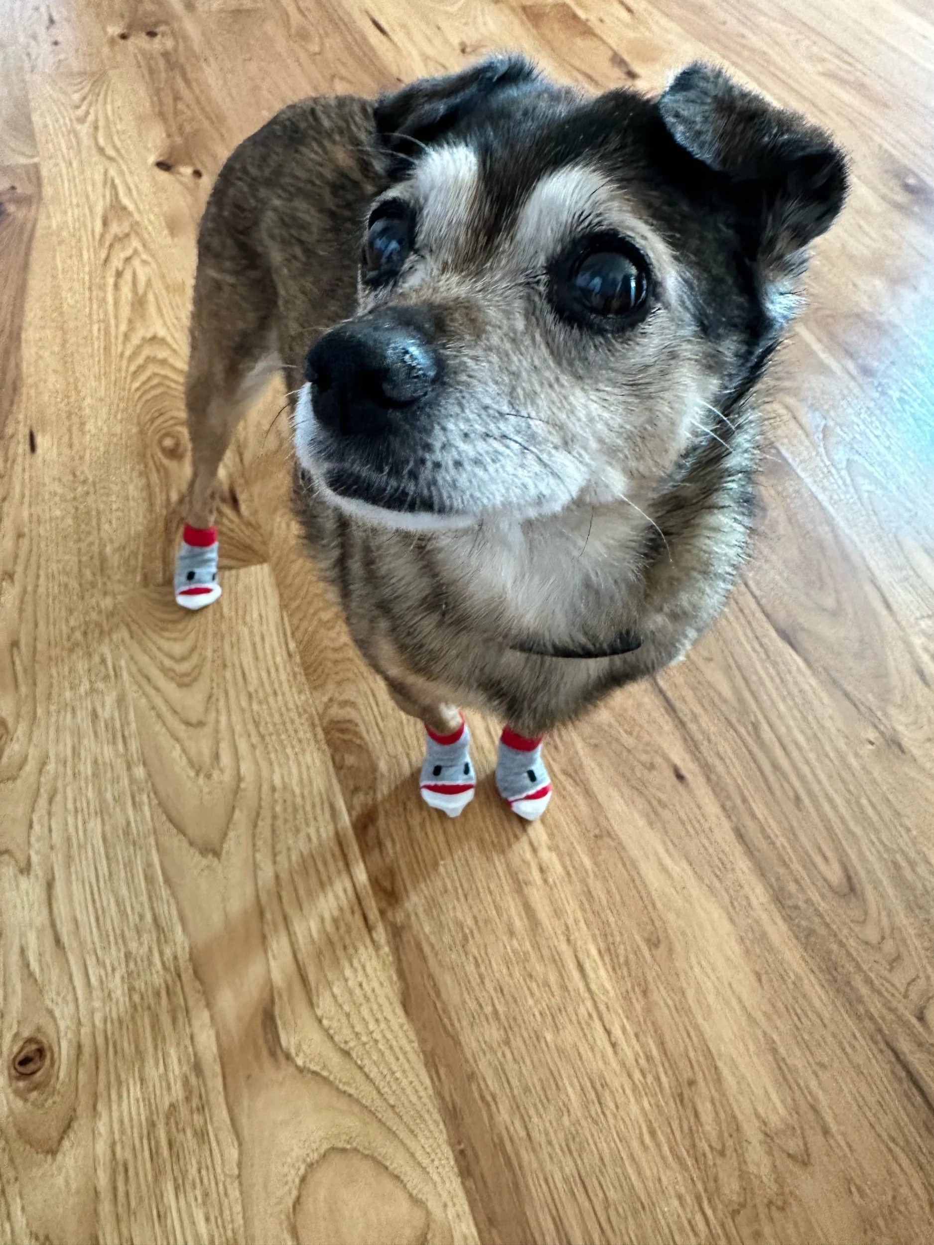 Sabbatical Phase 3: The Recovery Phase