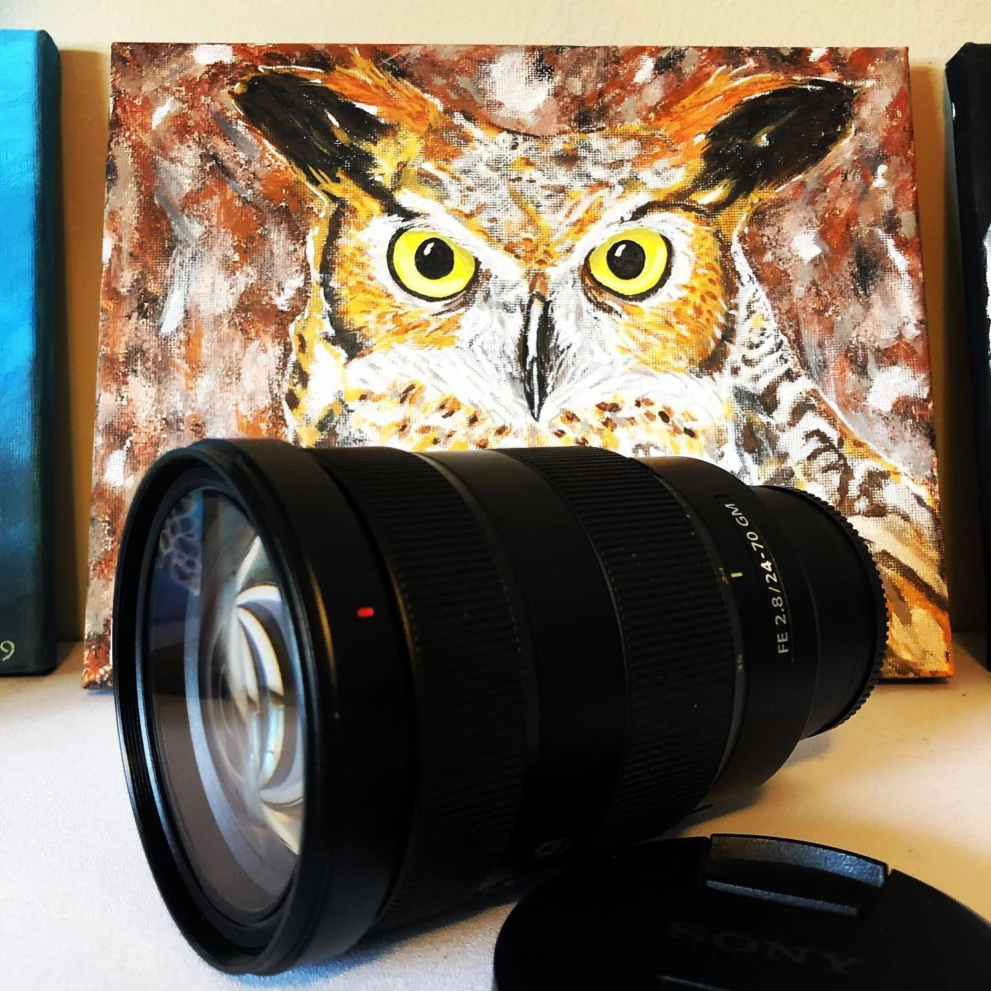 Rent the Sony 24-70mm 2.8 G Master lens.  It’s a hoot! 🦉🌽
Make sure to check out the rest of our Sony lens collection.
.
..
...
....
Rent from us today & check out the rest of our available gear - www.video.equipment
#gmaster #sonygmaste