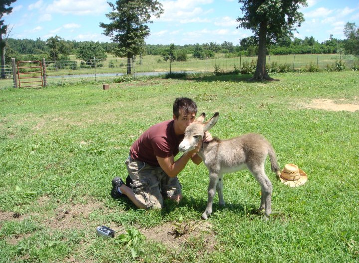 On the farm kissing a tiny donkey