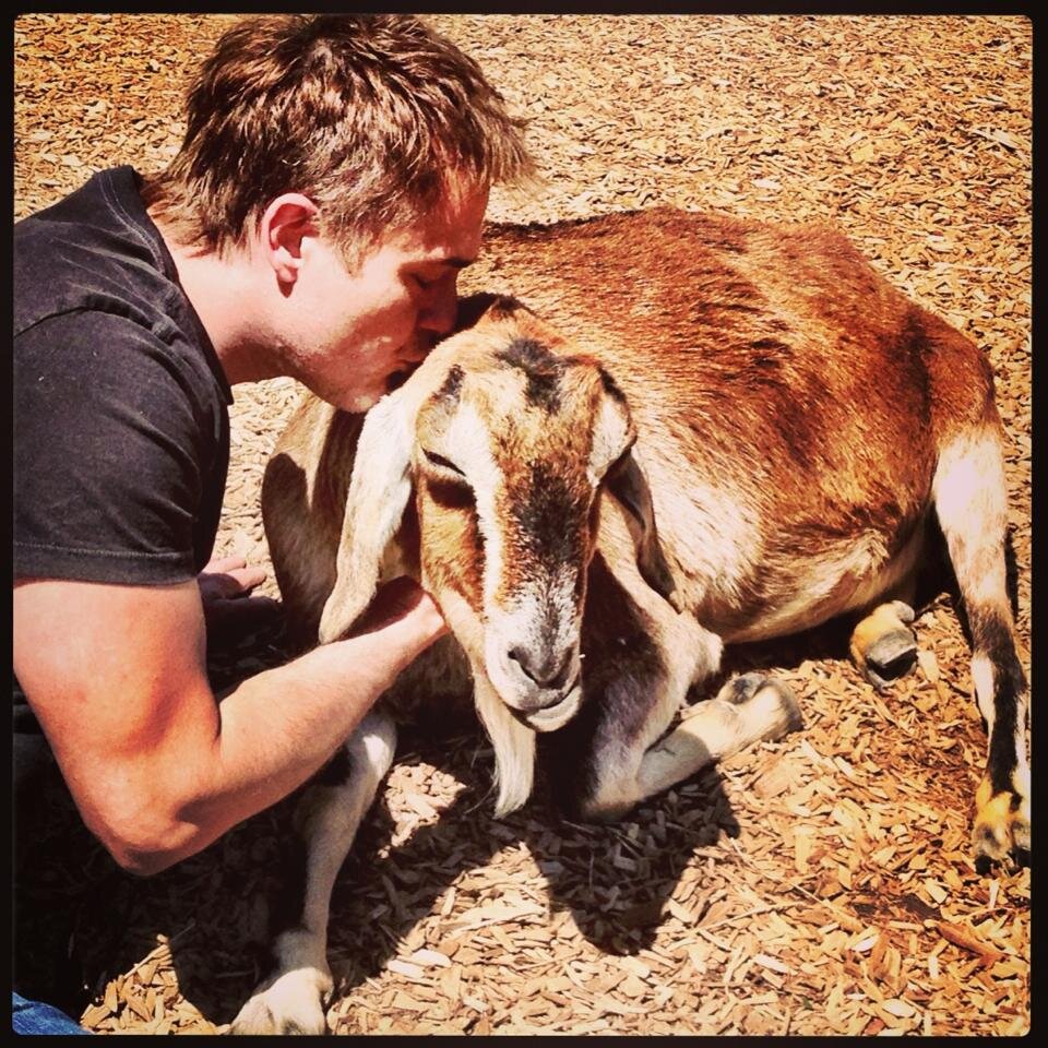 Kissing a goat. Again.