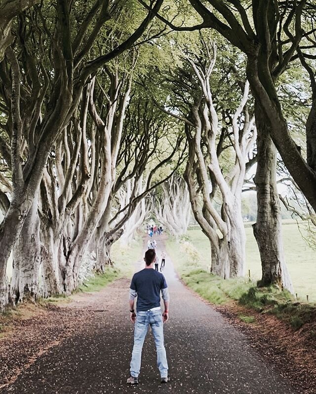 Dark Hedges really are a wonder. Put it on the list. #northernireland #gameofthrones &bull;
&bull;
&bull;
&bull;
&bull;
&bull;
#entrepreneur #travel #kingsroad #darkhedges #vocaledge #voicecoach