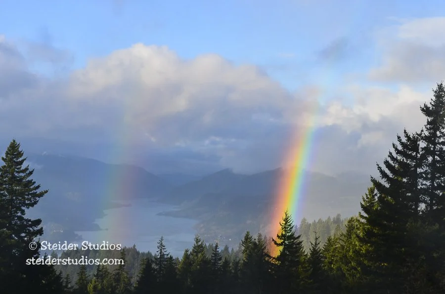 Steider Studios.Rainbow.CRG.11.21.12.jpg