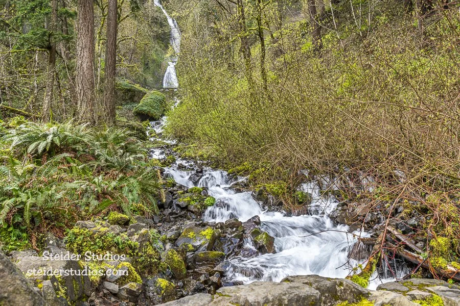 Steider Studios.Wahkeena Falls.4.5.22.jpg
