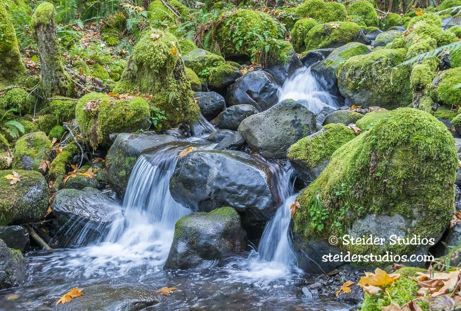 Steider Studios.Dry Creek.10.14.15.jpg