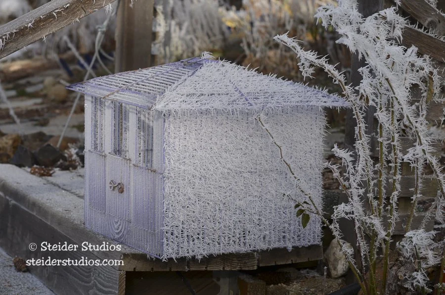 Steider Studios.Winter.Birdcage.1.18.13.jpg