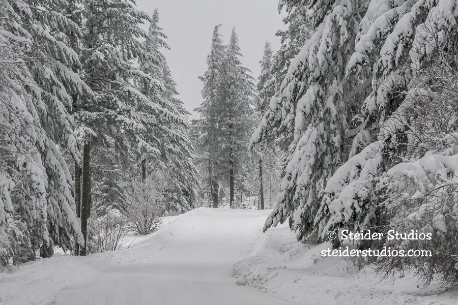 Steider Studios.Snowy Road.1.14.24.jpg