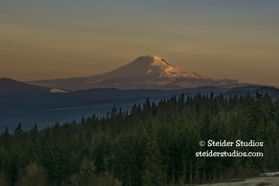 Steider Studios.Mt.Adams.2.9.16.jpg
