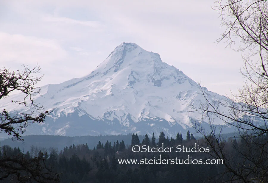 Steider Studios.Mt.Hood5.jpg