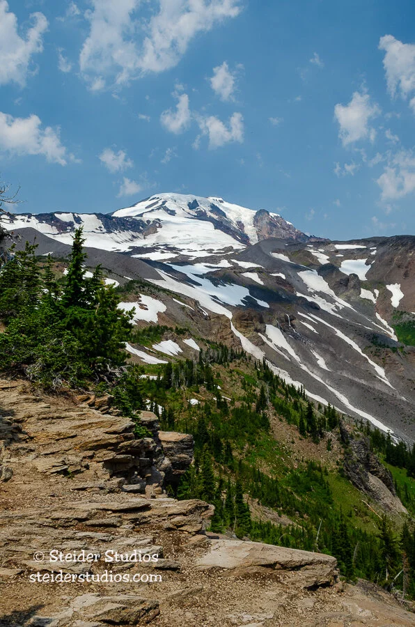 Steider Studios.Mt Adams.Bird Creek.8.2.14.jpg