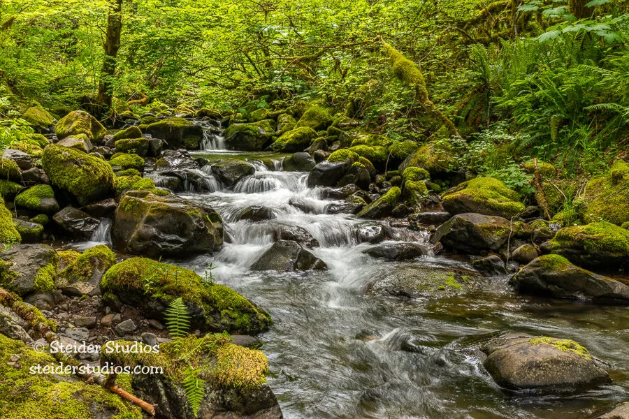 Steider Studios.Panther Creek.5.28.20.jpg