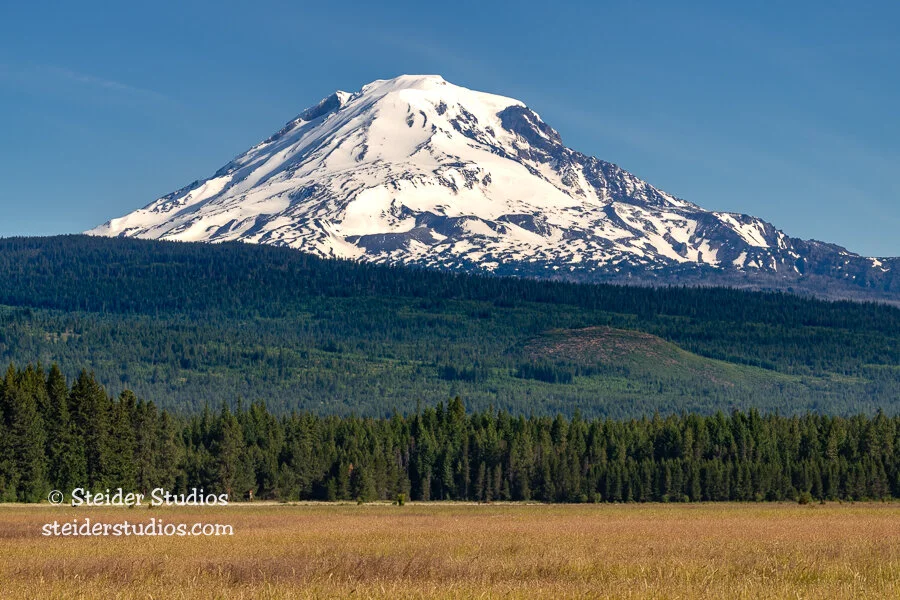 Steider Studios.Mt Adams.6.18.20.jpg