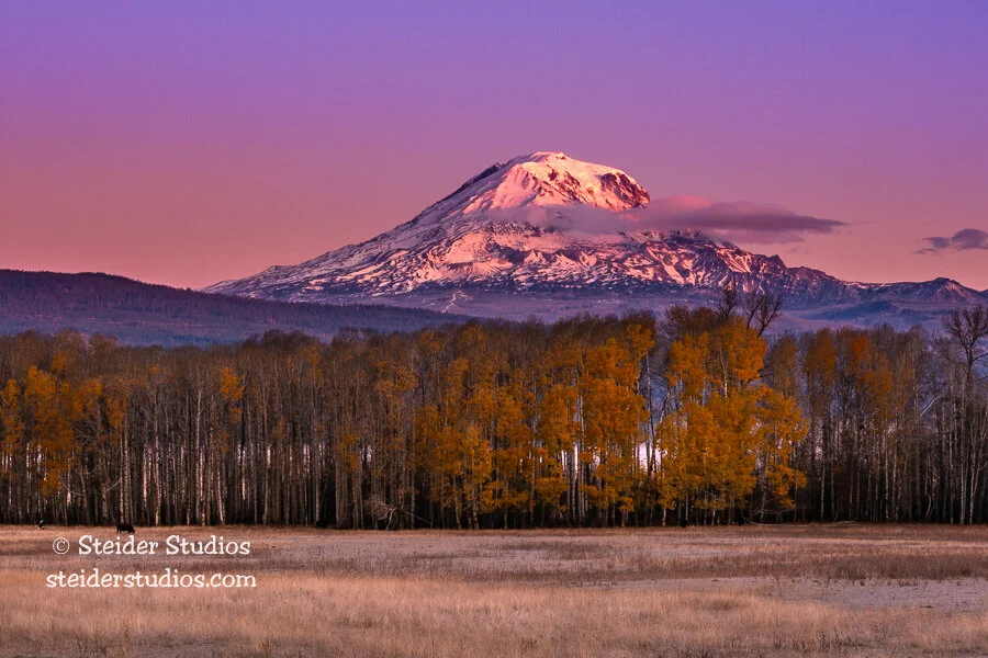 Steider Studios.Dawn.Mt Adams.10.27.19.jpg