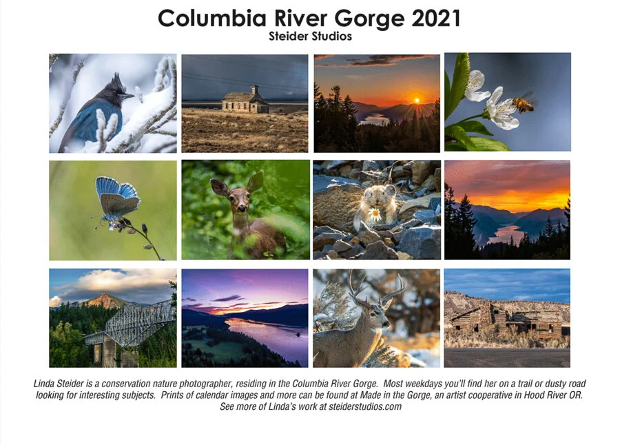 Steider Studios.2021 Calendar.jpg