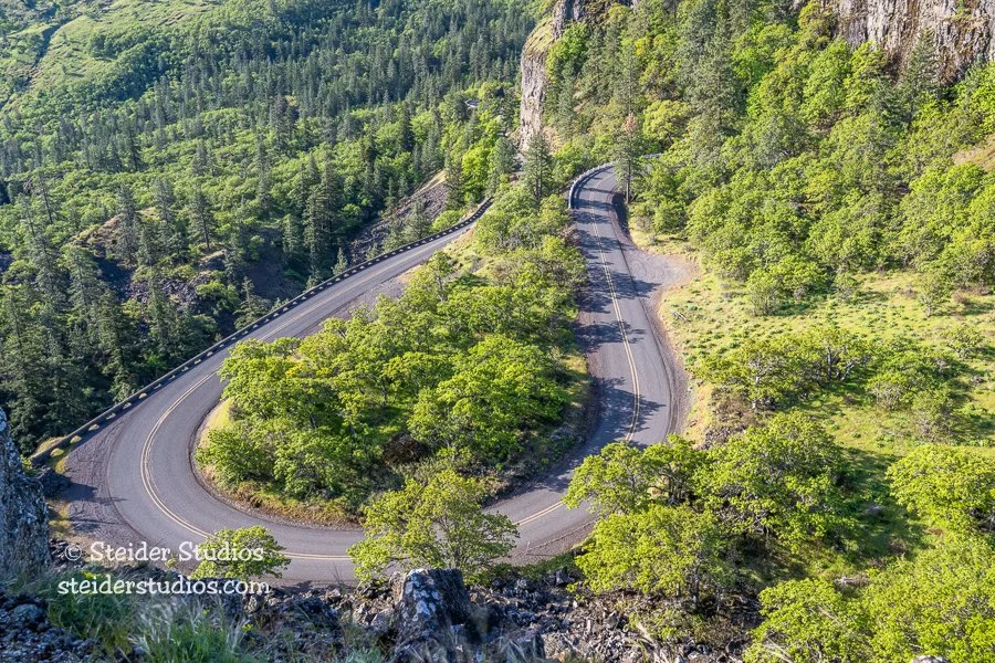Steider Studios.Road to Rowena.5.9.22 copy.jpg