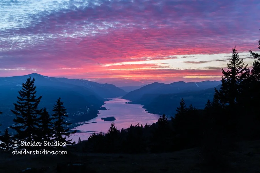 Steider Studios.Pink Sky Sunset.2.28.21.jpg