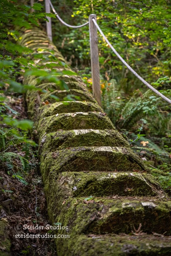 Steider Studios.Hike with CLT.10.13.22-3.jpg