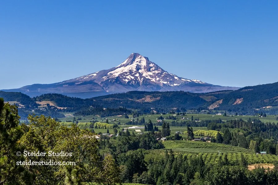 Steider Studios.Mt Hood.Panorama Point.7.22.21.jpg