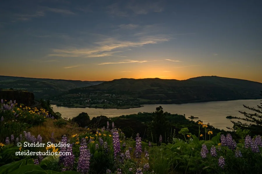 Steider Studios.Lyle Sunrise.Rowena Crest.5.13.23-1.jpg