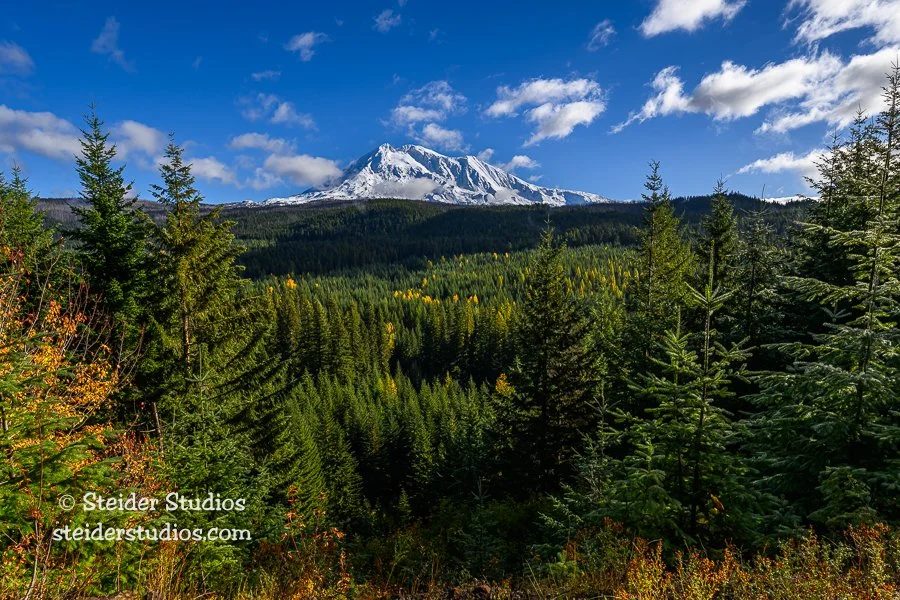Steider Studios.Mt Adams.10.12.23-3.jpg