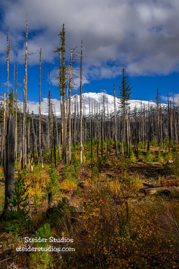 Steider Studios.Mt Adams.10.12.23-4.jpg