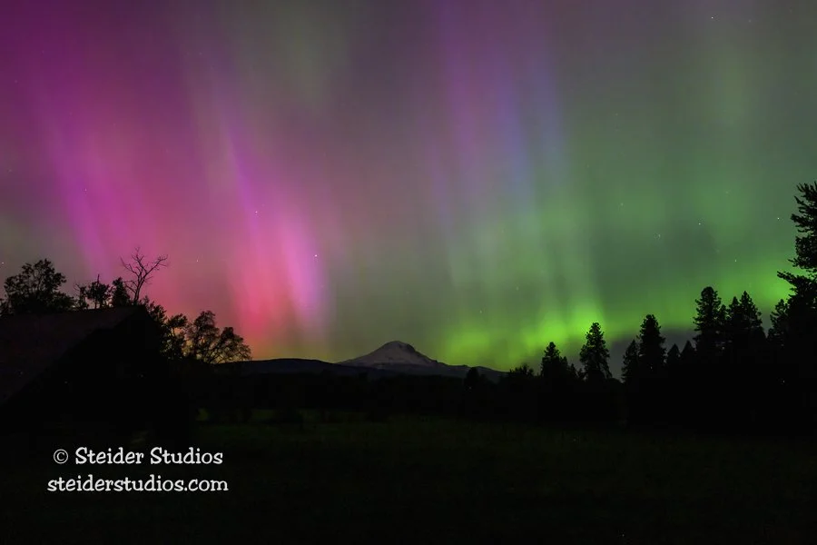 Steider Studios.Aurora4WebPage.5.10.24-3.jpg