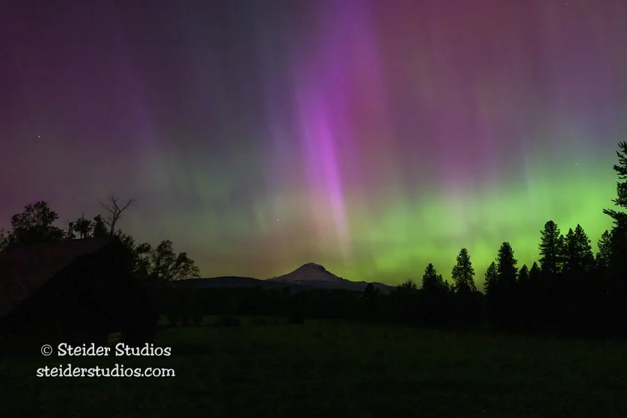 Steider Studios.Aurora4WebPage.5.10.24-9.jpg