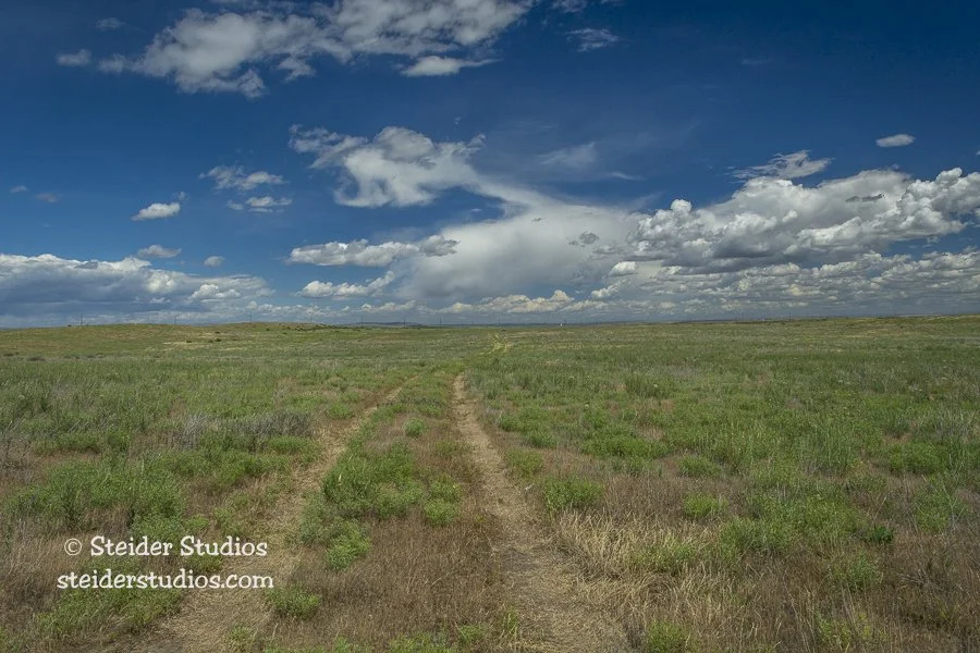 Pioneer Wagon Tracks in Eastern Oregon