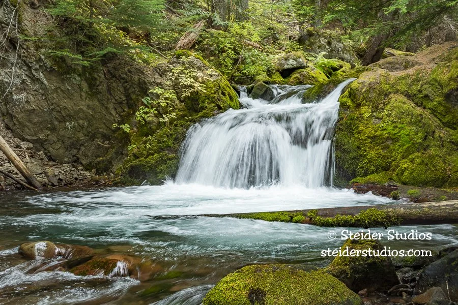 Steider Studios.Cold Spring Creek.Tamanawas.10.1.18.jpg