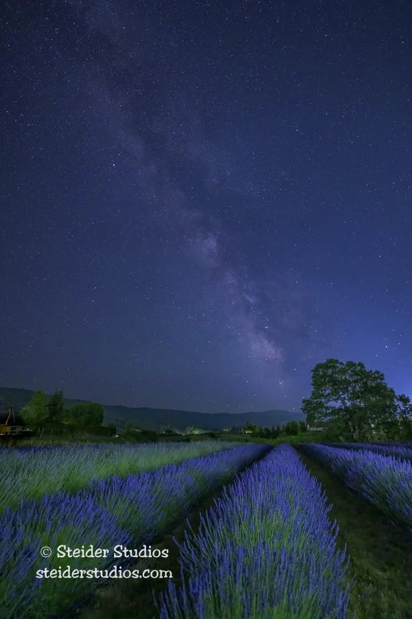 Steider Studios.Milky Way.Edited.7.7.24.jpg