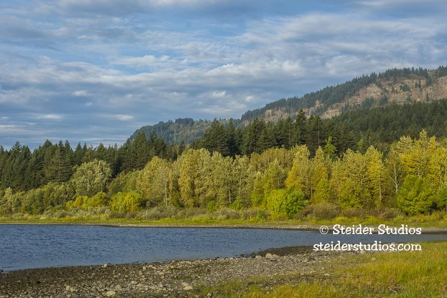 Steider Studios.Bird Banding.10.9.15-6.jpg
