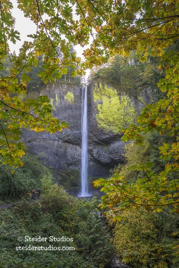 Steider Studios.Latourell Falls.10.29.25.jpg