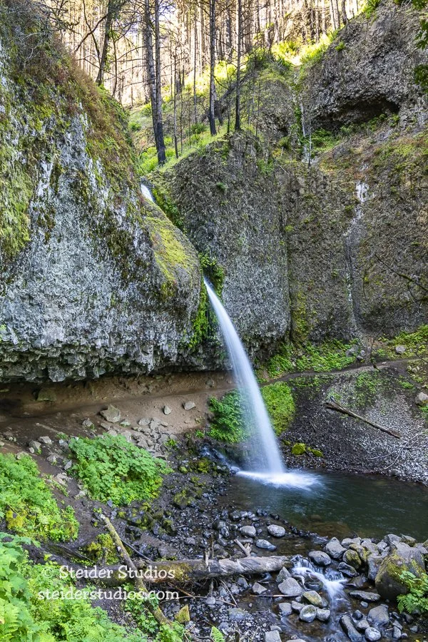Steider Studios.Ponytail Falls.7.19.19.jpg