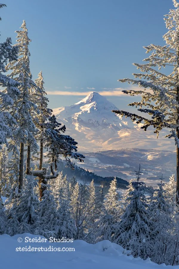 Steider Studios.Snow Day.1.15.24-3.jpg