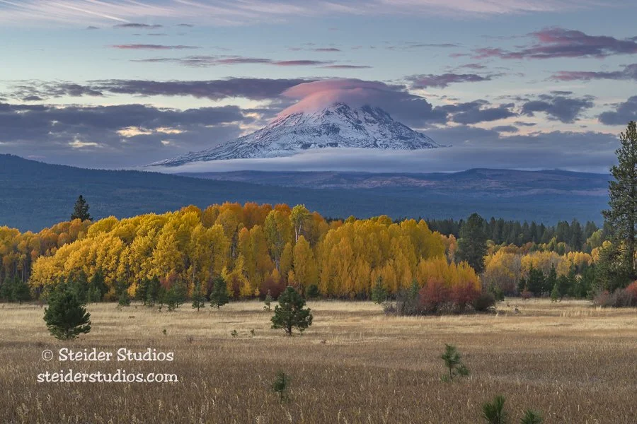 10. Steider Studios.Mt Adams.Fall Color.10.20.25.jpg