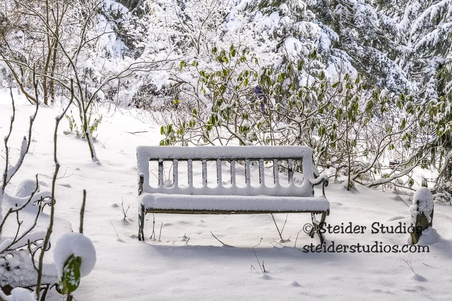 Steider Studios.Snowy Bench.1.17.20.jpg
