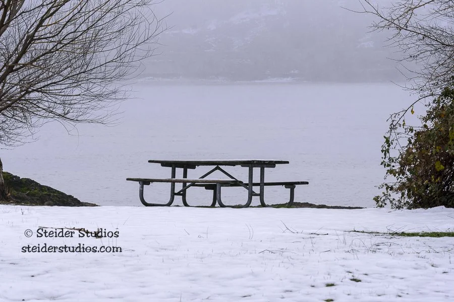Steider Studios.Doug's Beach.12.19.15.jpg