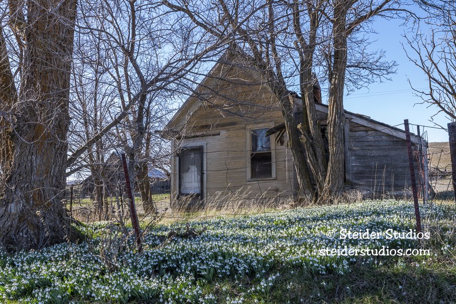 Steider Studios.Abandoned Warwick?.2.17.20 Studios.Abandoned.Rd.KlickCo.2.14.20.jpg