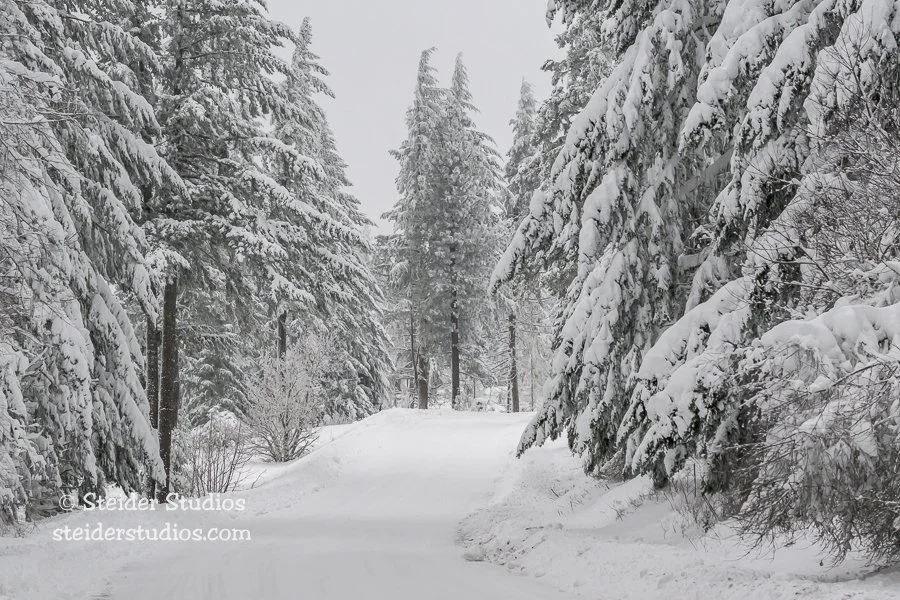 Steider Studios.Snowy Road.1.14.24.jpg
