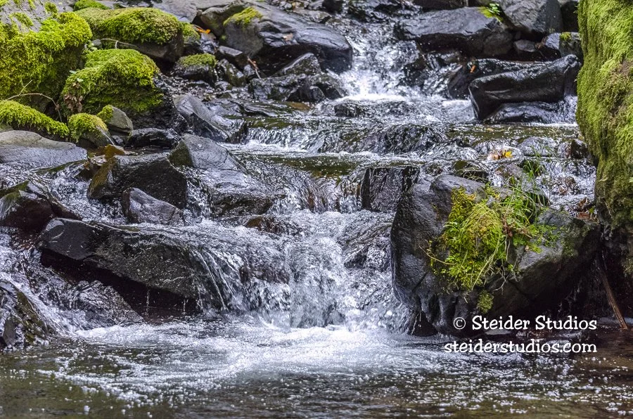 Steider Studios.Tiny.Starvation Crk.10.11.13.jpg