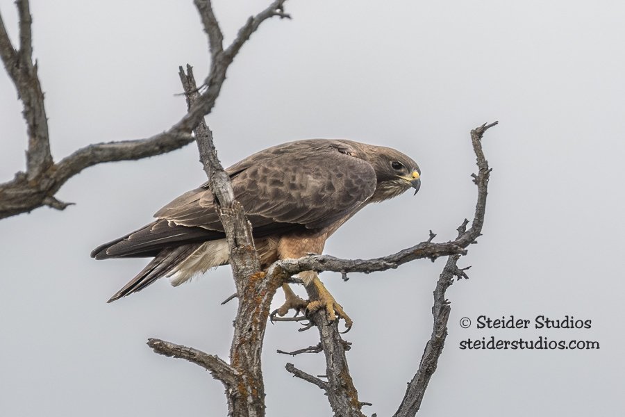 Prepare for Take-off