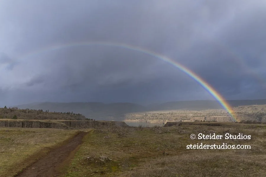 Steider Studios.Rainbow.Rowena.2.23.20.jpg