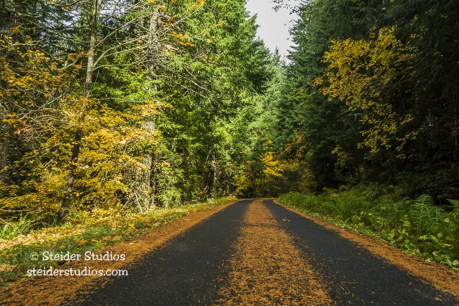 Steider Studios.Lolo Pass.10.25.16.jpg